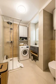 Apartamento inteiro em Dobrilina 7, imagem 8 de 16