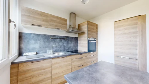 Özel oda konumu 56 Avenue De Montrapon, 11 46 görüntüsü