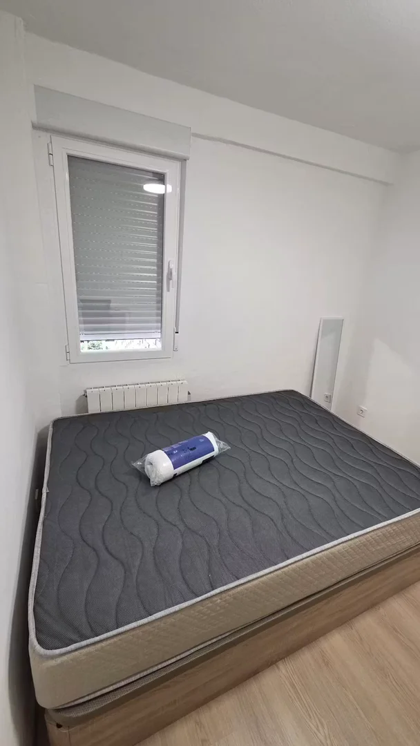 Affordable room for students with ample lighting in