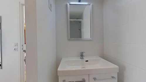 Private room at 15 Avenue du Grand Pin, image 16 of 18
