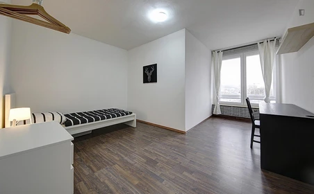Room for rent in a shared flat in Stuttgart