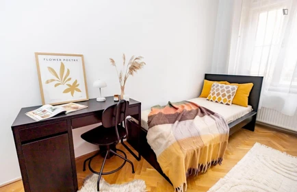 Room for rent in a shared flat in Budapest