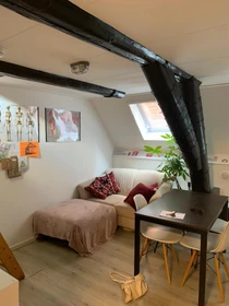 Chambre à louer dans un appartement en colocation à Groningen