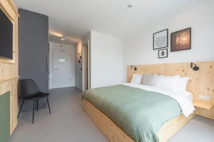 Cheap private room in Freiburg-im-breisgau