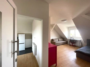 Logement avec 3 chambres à Mannheim