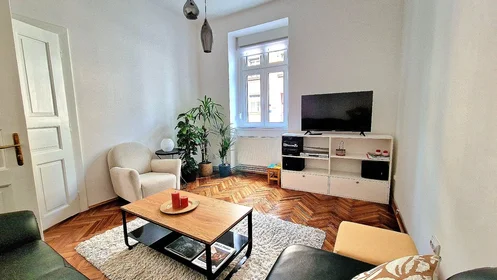 Logement entier à Vlaška ulica 96, image 2 de 17
