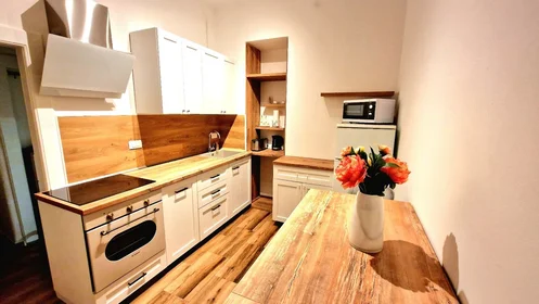 Logement entier à Vlaška ulica 96, image 6 de 17