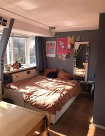 Pokój do wynajęcia z podwójnym łóżkiem w Leeuwarden