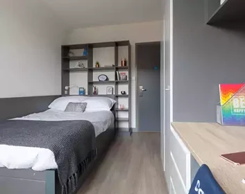 Alquiler de habitación en piso compartido en Southampton