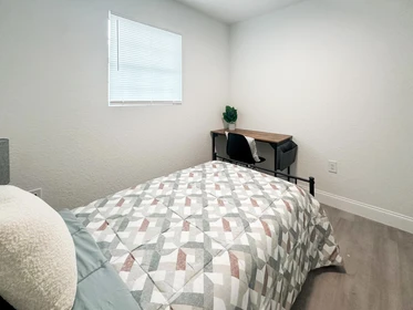 Room for rent in a shared flat in Tampa