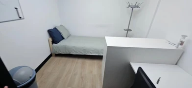 Room for rent with double bed Den-haag