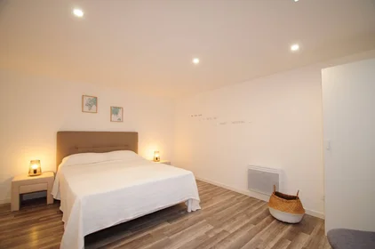 Chambre privée à Cannes, 06400, image 11 de 15