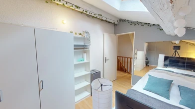 Chambre à louer dans un appartement en colocation à Montpellier