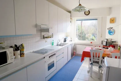 Chambre privée à Val des Bons-Malades, Kirchberg, image 7 de 10