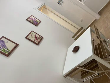 Chambre privée à Vico Orto del Conte, Porto, image 9 de 10