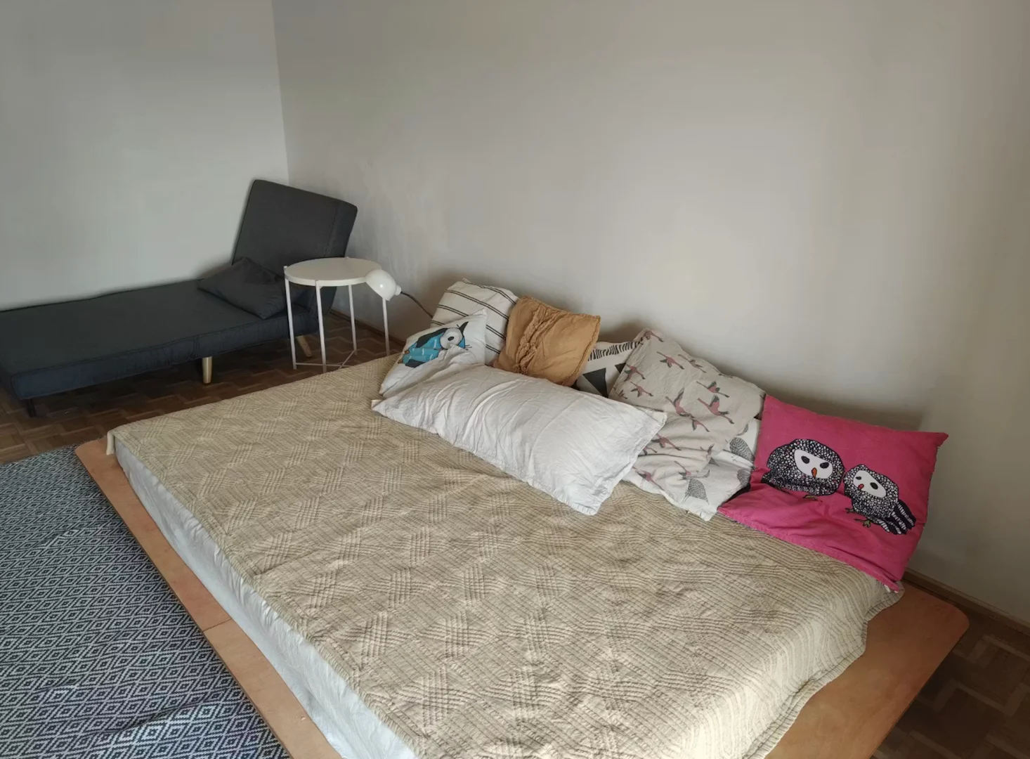 Quarto acolhedor para estudantes disponível em