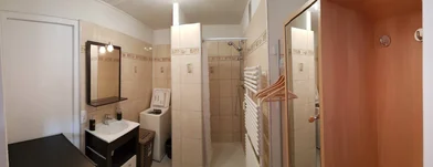 Chambre privée à Metz, 57070, image 11 de 17