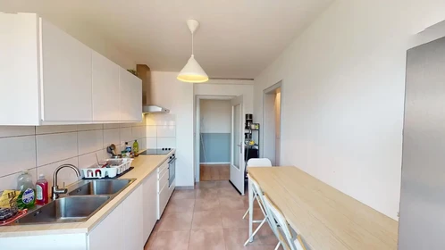 Privatzimmer in der Avenue Aristide Briand, bild 9 von 10