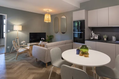 Quarto privado em 36 Rue Bonnand, imagem 1 de 10