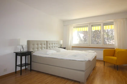 Apartamento moderno y luminoso en Zurich