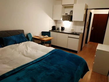 Room for rent with double bed Mannheim