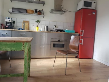 Room for rent with double bed Amsterdam