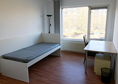 Stanza privata in Via Leonardo Bistolfi, Lambrate-Ortica, immagine 1 di 6
