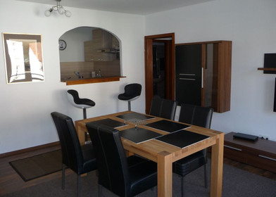 Accommodation in the centre of heidelberg