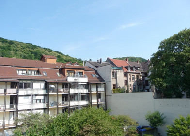 Alojamento com 3 quartos em Heidelberg