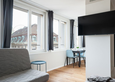Wspaniałe mieszkanie typu studio w Basel