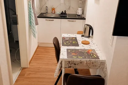 Gesamte Unterkunft in der Steinstrasse, Kreis 3, bild 7 von 10