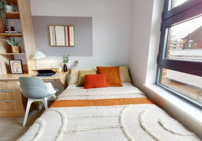 Alquiler de habitación en piso compartido en Sheffield