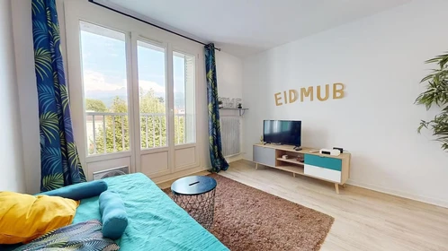 Room for rent in a shared flat in Grenoble