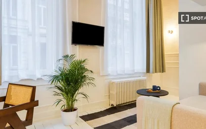 Studio at Rue d'Ecosse, image 3 of 15