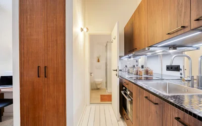 整套公寓 在 Rue d'Écosse, Berckmans-Hotel des Monnaies, 10的图像10