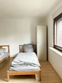 Alquiler de habitaciones por meses en Mannheim