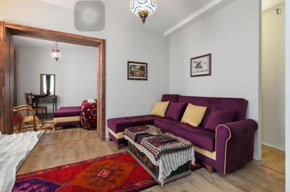 Accommodation with 3 bedrooms in Istanbul