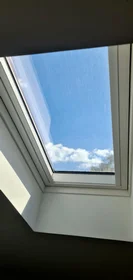 Prywatny pokój Rua Fonte da Preguiça, obraz 10 28