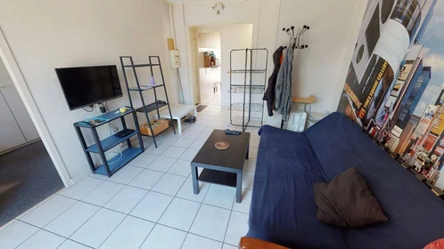 Cheap private room in Saint-martin-d-heres