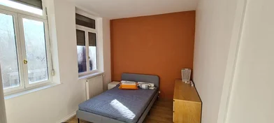 Prywatny pokój Rue Pierre de Roubaix, obraz 1 10