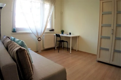 Bright shared room for rent in Katowice