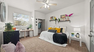 Entire apartment in residence at 4201 Monticello Gardens Pl, Tampa, FL 33613, United States, image 2 of 49