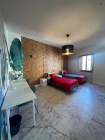 Bright private room in Firenze