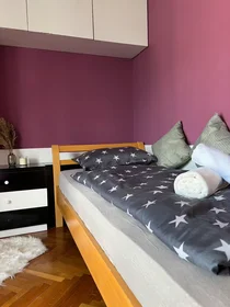 Chambre privée à Ulica borcev za severno mejo, Galjevica, image 1 de 10