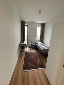 Renting rooms by the month in Amsterdam