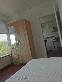 Chambre privée à Van Boshuizenstraat, Zuideramstel, image 4 de 10