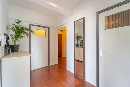 Chambre privée à Van Boshuizenstraat, Zuideramstel, image 8 de 10