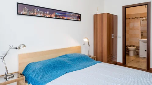 Stanza privata in Viale Renato Serra, immagine 28 di 36