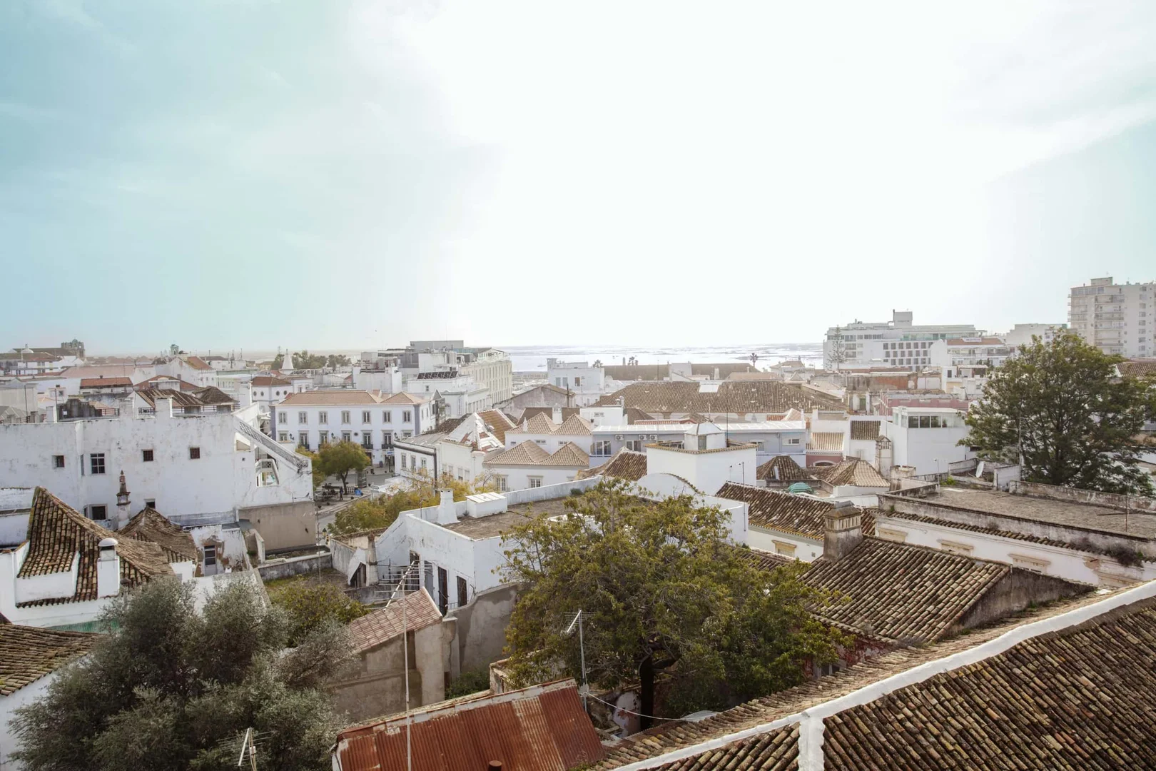 R. Baptista Lopes 36 8000 368, 8000-139 Faro, Portugal