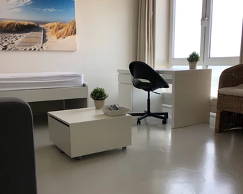 Alquiler de habitación en piso compartido en Den-haag